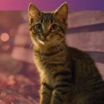 Fetch_2026_Event-images_Nashville-neww