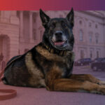 Fetch_2026_Event-images_04_National-Harbor