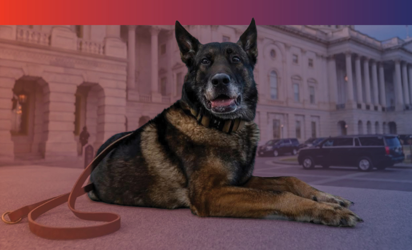 Fetch Phoenix Veterinary Conference 2027